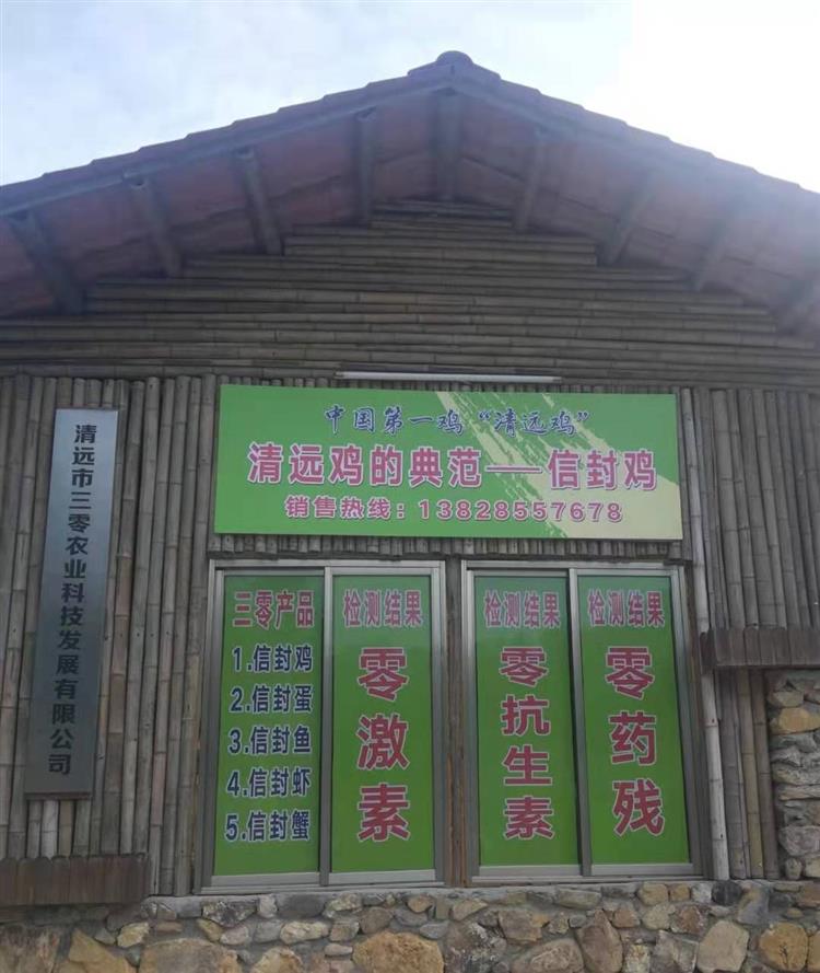 信封鸡