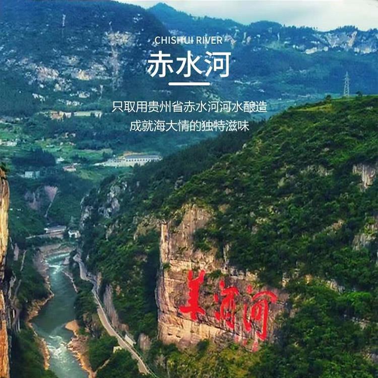 海大情酱香型白酒【20年份蓝瓶】
