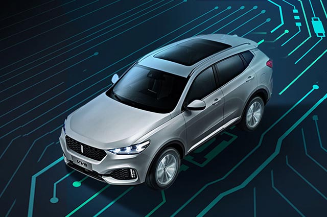 WEY VV6 2020款 2.0T 两驱智悦+