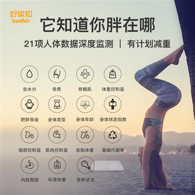 bodivis/好体知清华同方体脂秤