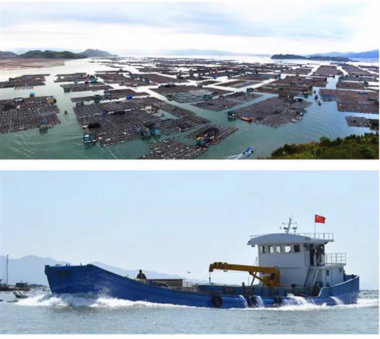 特优价：深海黄鱼鲞 (福建霞浦海捕大黄鱼），真海鲜，品质好，海味鲜香，有营养