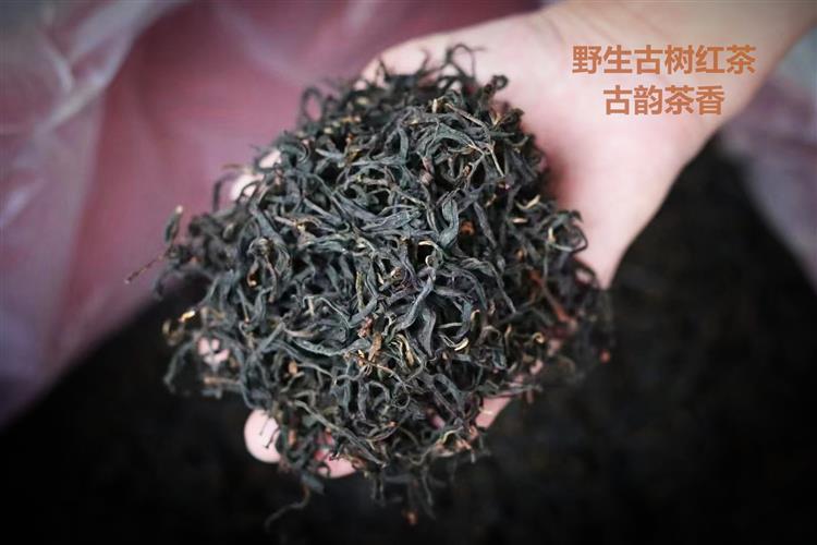 微信图片_20230408121259_看图王.jpg