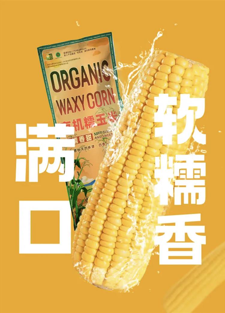 详情1.jpg