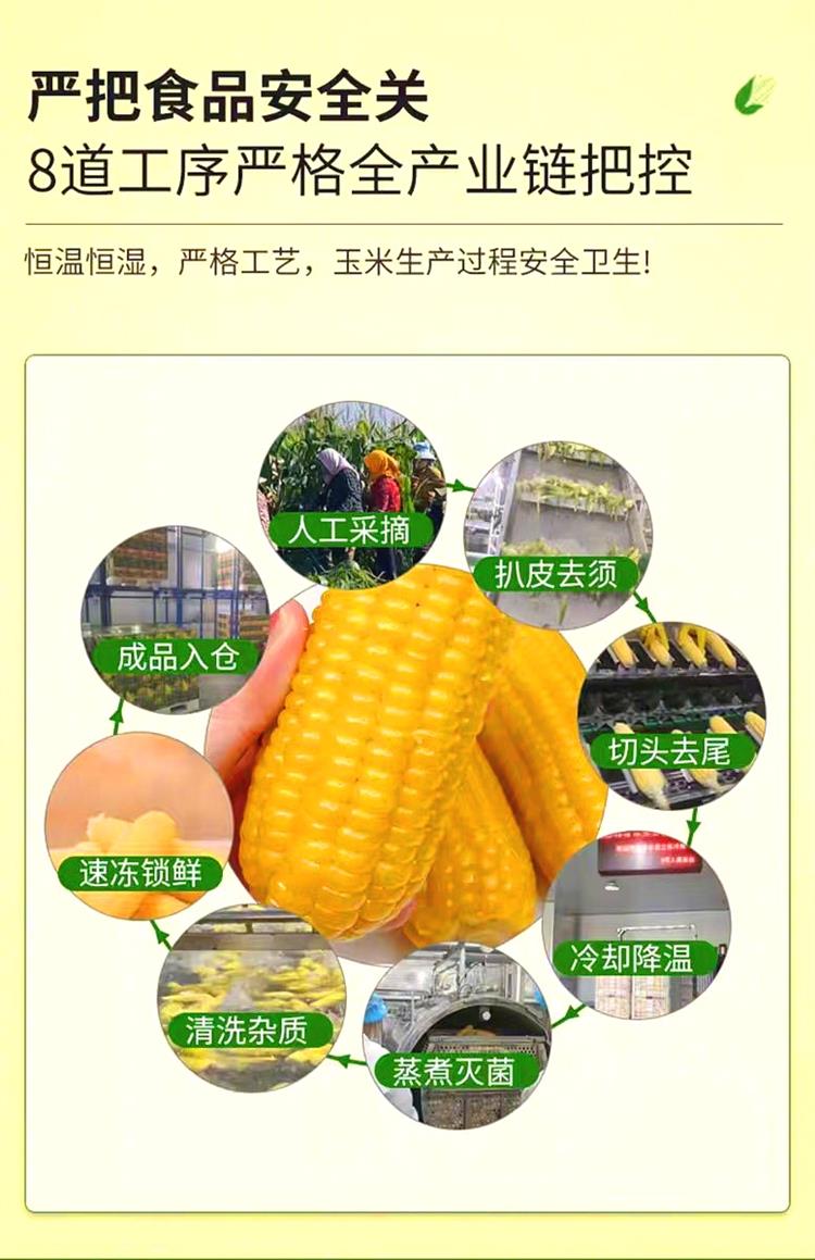详情9.jpg