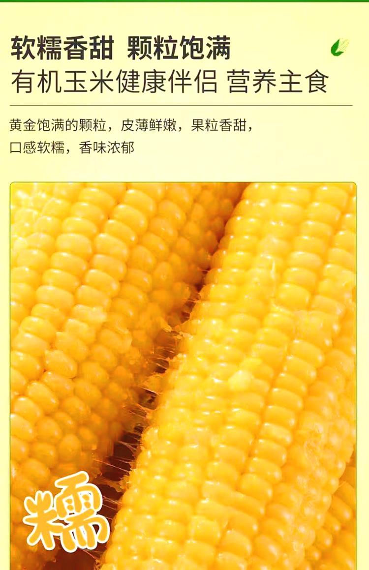 特优惠：瑞玲珑• 金银糯玉米8支，软糯香甜，软糯Q弹，高纤维低脂肪，营养健康，零添加