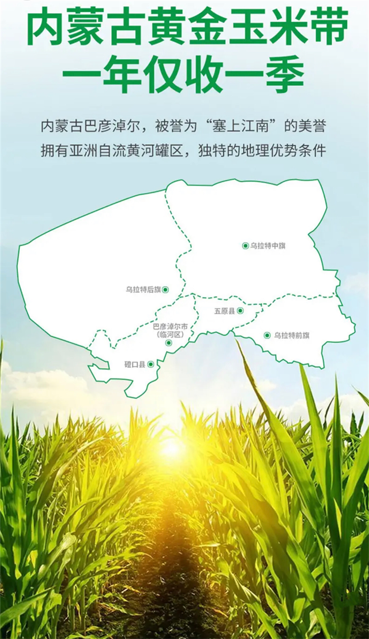 详情2.png